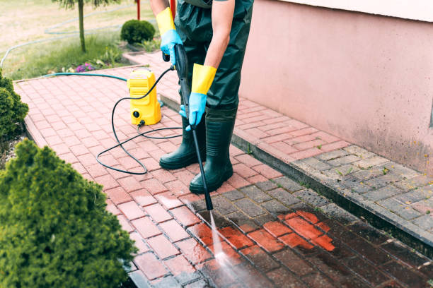 Best Vinyl Siding Pressure Washing in Orlovista, FL